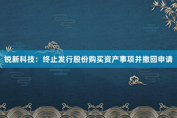 锐新科技：终止发行股份购买资产事项并撤回申请