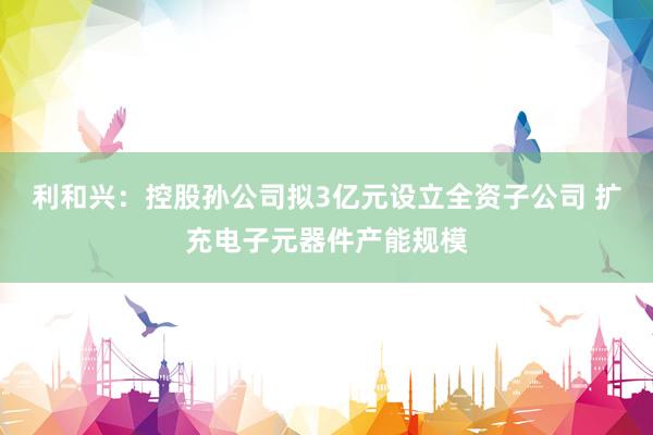 利和兴：控股孙公司拟3亿元设立全资子公司 扩充电子元器件产能规模