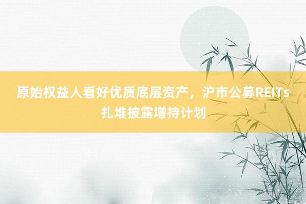 原始权益人看好优质底层资产，沪市公募REITs扎堆披露增持计划