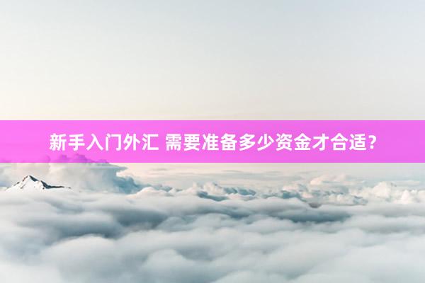 新手入门外汇 需要准备多少资金才合适？