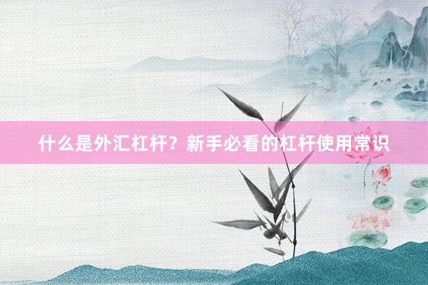 什么是外汇杠杆？新手必看的杠杆使用常识