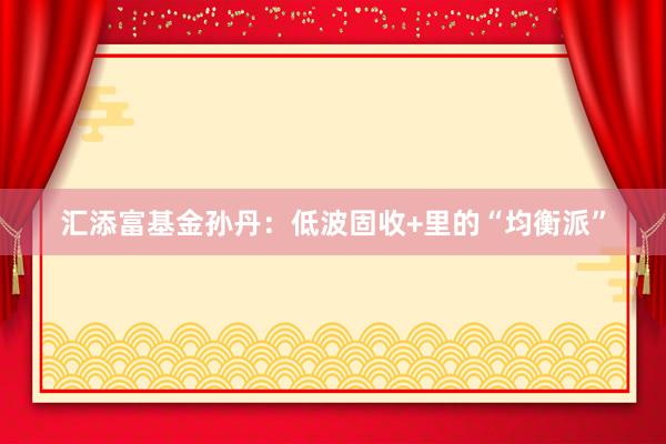 汇添富基金孙丹：低波固收+里的“均衡派”