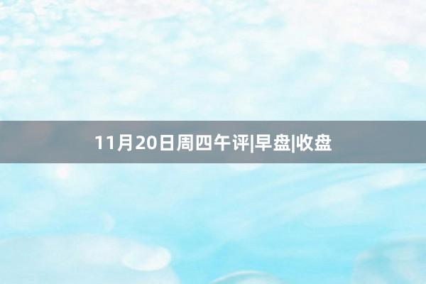 11月20日周四午评|早盘|收盘