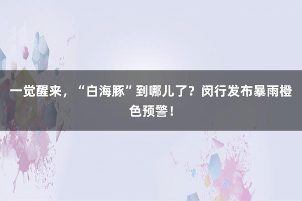 一觉醒来，“白海豚”到哪儿了？闵行发布暴雨橙色预警！