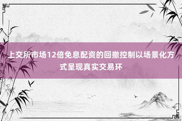 上交所市场12倍免息配资的回撤控制以场景化方式呈现真实交易环