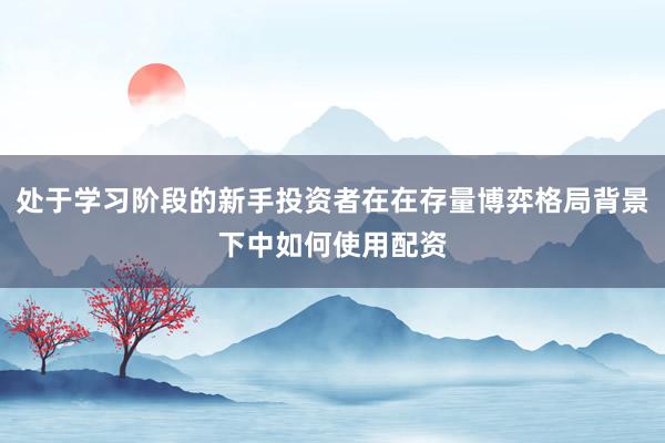 处于学习阶段的新手投资者在在存量博弈格局背景下中如何使用配资
