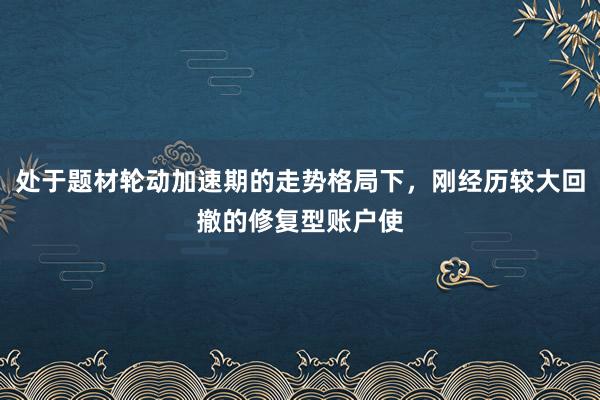 处于题材轮动加速期的走势格局下，刚经历较大回撤的修复型账户使