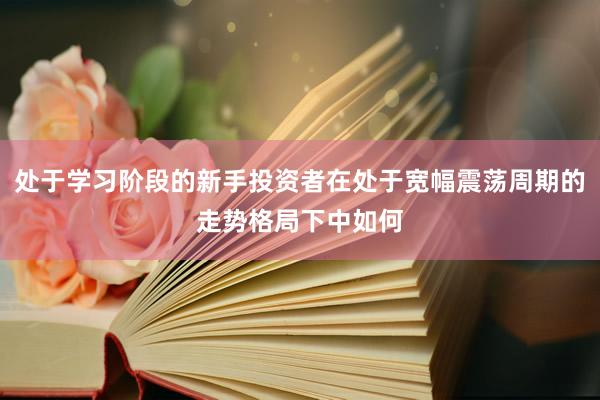 处于学习阶段的新手投资者在处于宽幅震荡周期的走势格局下中如何