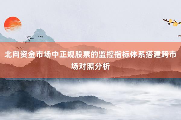 北向资金市场中正规股票的监控指标体系搭建跨市场对照分析
