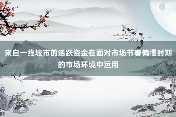 来自一线城市的活跃资金在面对市场节奏偏慢时期的市场环境中运用