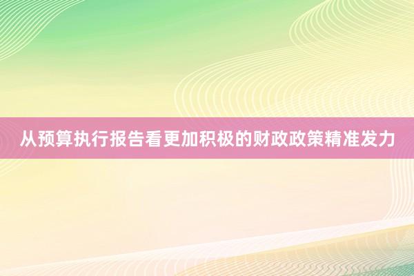 从预算执行报告看更加积极的财政政策精准发力